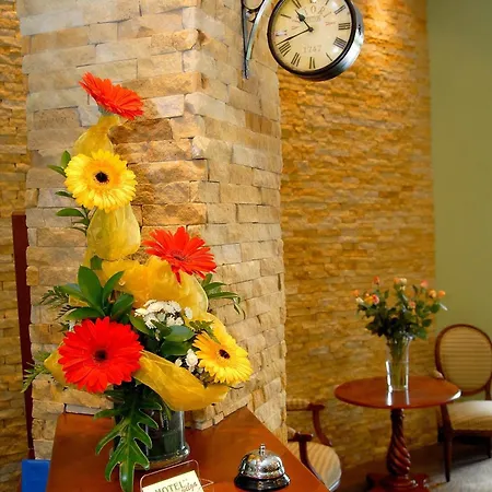 Ξενοδοχείο Wilga By Katowice Airport 3*