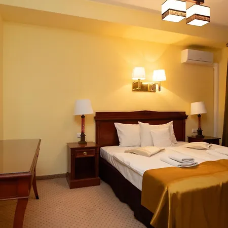 Wilga By Katowice Airport Mierzęcice