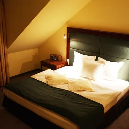 Wilga By Katowice Airport Szálloda