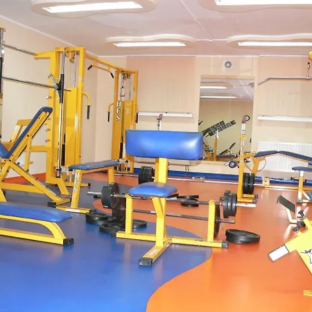 Wilga By Katowice Airport Szálloda 3*