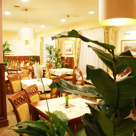 Wilga By Katowice Airport Mierzęcice