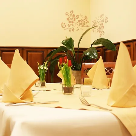 Szálloda Wilga By Katowice Airport