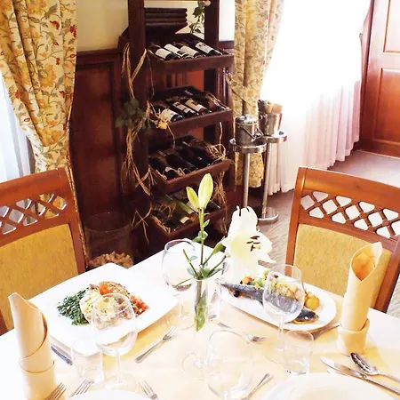 Hotel Wilga By Katowice Airport 3*