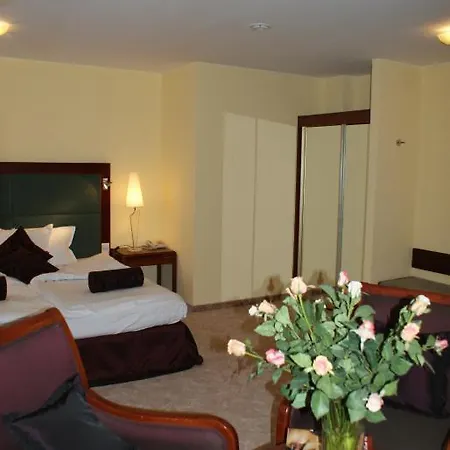 Wilga By Katowice Airport Otel Mierzęcice