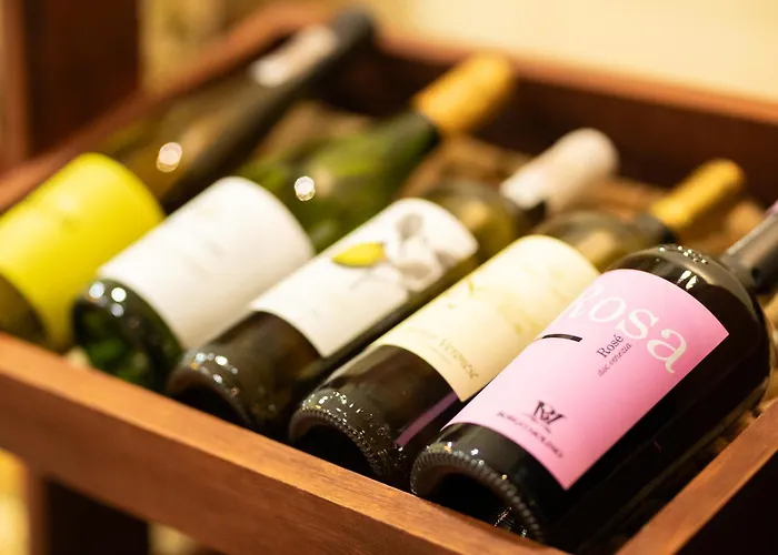 Hotel Wilga By Katowice Airport Mierzęcice