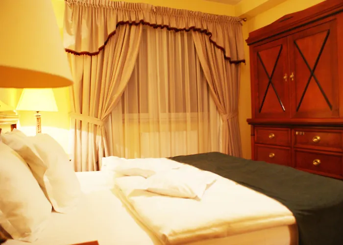 Wilga By Katowice Airport Hotel 3*