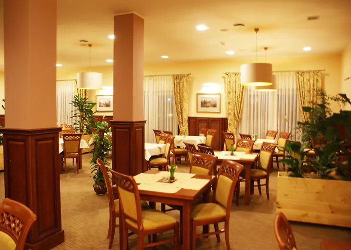 Hotel Wilga By Katowice Airport 3*