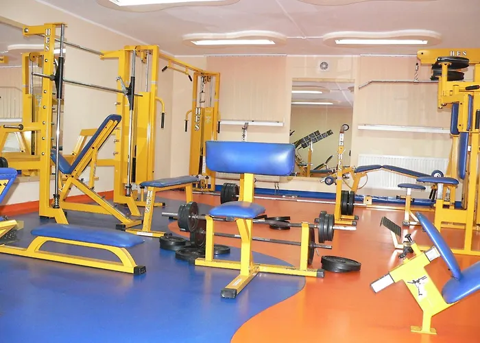 Wilga By Katowice Airport Hotel 3*