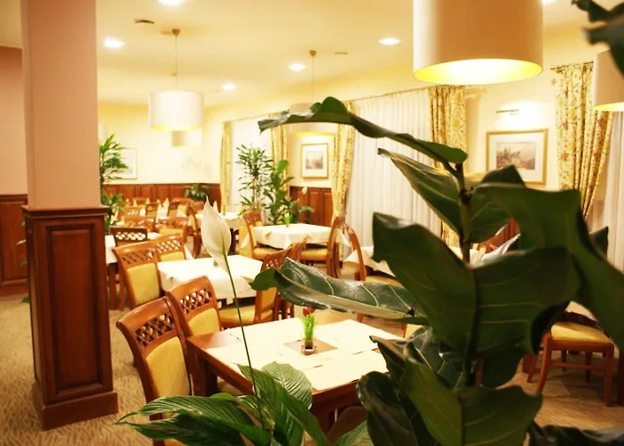 Wilga By Katowice Airport Mierzęcice