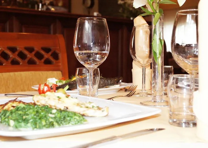 Wilga By Katowice Airport Mierzęcice