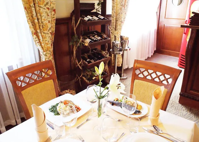 Hotel Wilga By Katowice Airport 3*